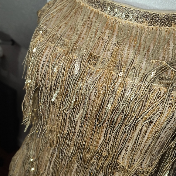 Gold Fringe Dress - Picture 3 of 3